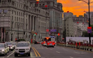 上海品茶寻踪：兔小巢店的地址全解析