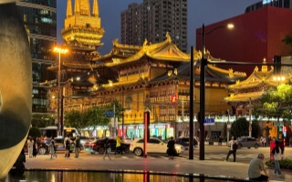 上海品茶热线：品味都市生活中的茶香秘境